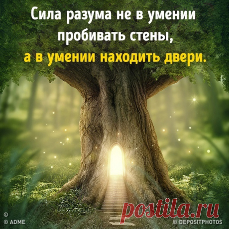7 трюков для тех, кто хочет принять верное решение: goo.gl/noVGER: