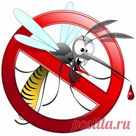 Новости - МирТесен