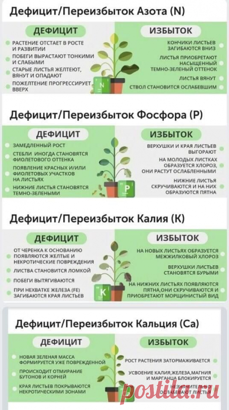 (636) Pinterest