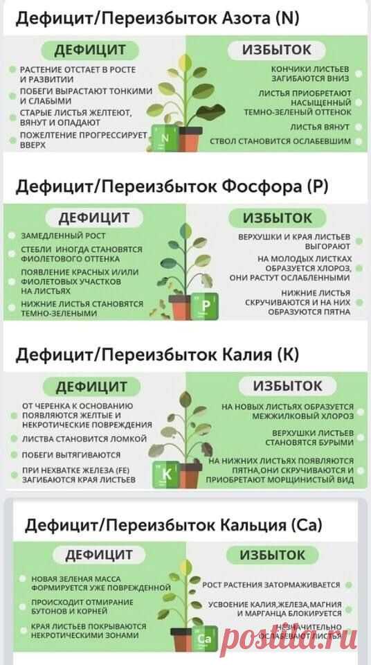 (636) Pinterest