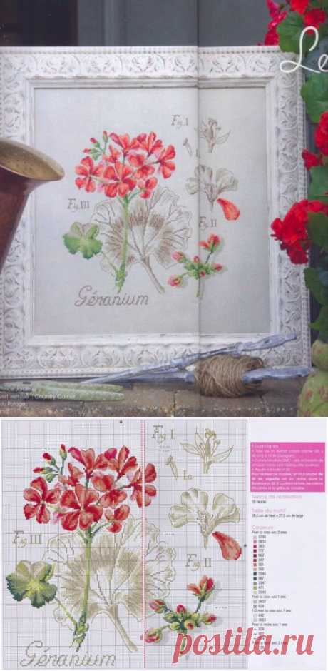 Герань из серии &quot;Ботаника&quot; / Вышивка, Вышивка крестом / В рукоделии
