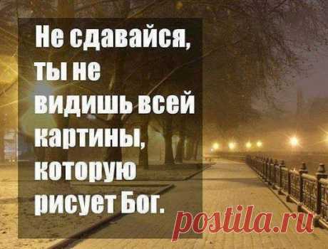 (3) Филиалы Школы Бизнеса Алекса Яновского.