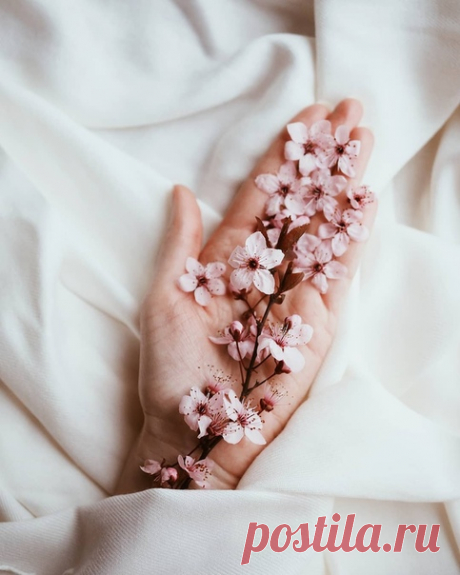 Кто сохраняет способность видеть прекрасное, тот не стареет.
— Франц Кафка —

Instagram valleygaby