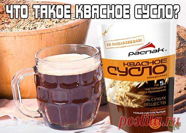 Что такое квасное сусло?