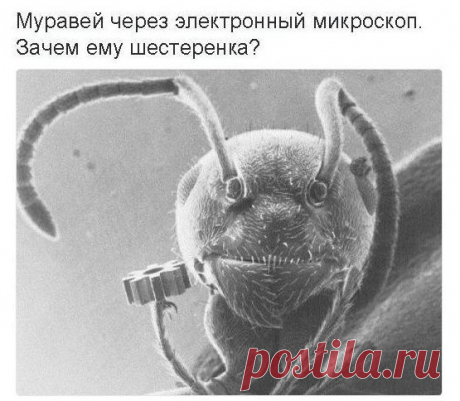 Знаете ли Вы?