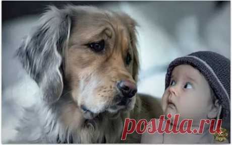 (4) Facebook