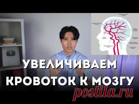 Эти упражнения УВЕЛИЧАТ КРОВОТОК к мозгу в несколько раз