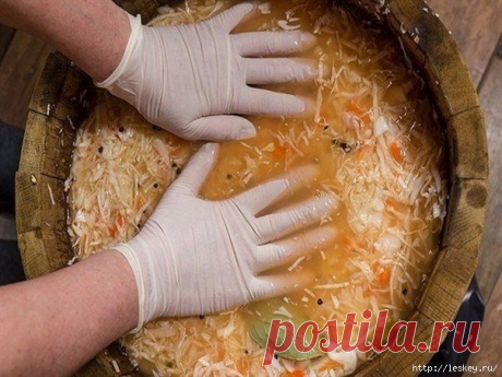 Суточная квашеная капуста в банке - просто бесподобный рецепт!