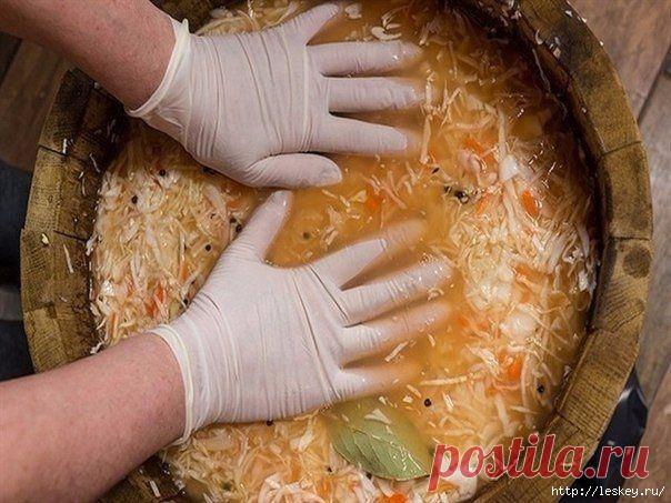 Суточная квашеная капуста в банке - просто бесподобный рецепт!