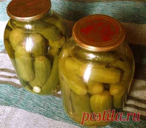 Консервируем на зиму огурцы по-одесски