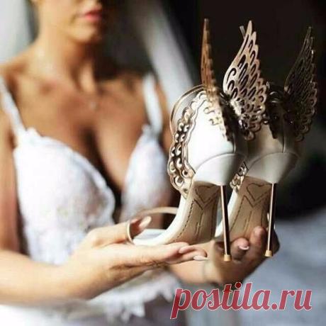 Look! Очаровательные туфельки от Софии Уэбстер! — Модно / Nemodno
