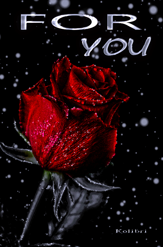 Фото – Google+