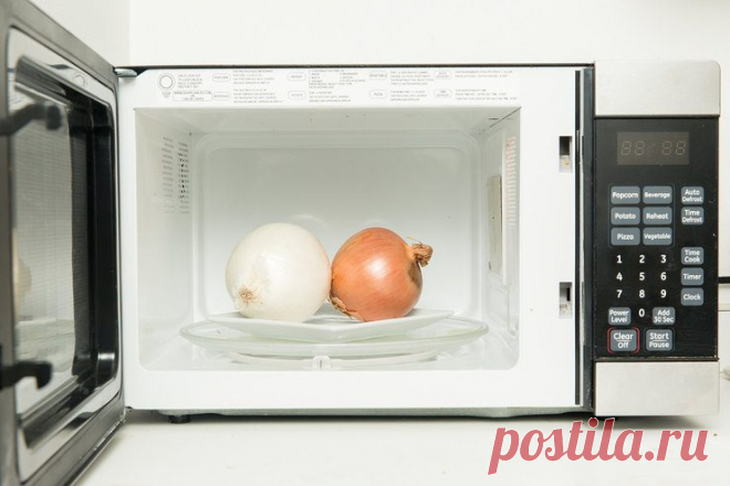 На что способна ваша микроволновка / Домоседы