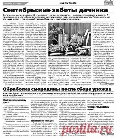 Сентябрьские заботы дачника