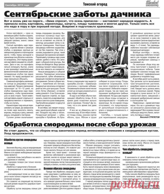 Сентябрьские заботы дачника
