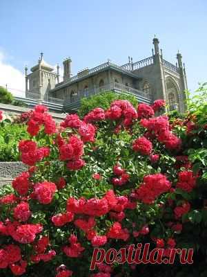 Мой город-Ялта