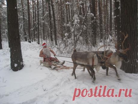 зимние плавание в проруби + бег по снегу босиком