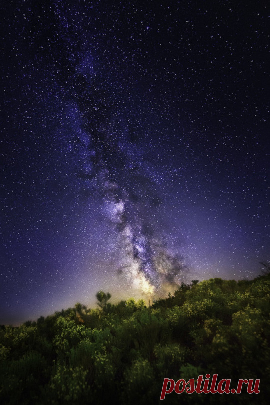 (1) Tumblr