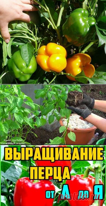 Комментарии к теме