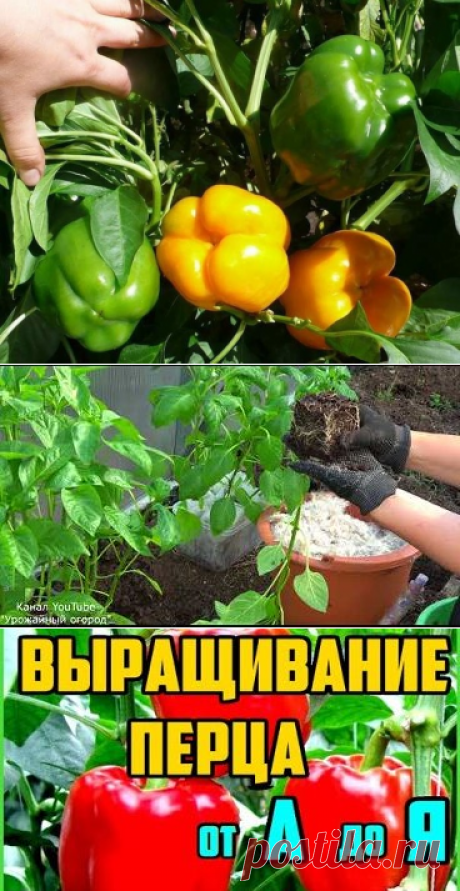 Комментарии к теме