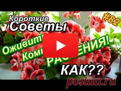 Куриные желудочки по-корейски | Полезные советы
