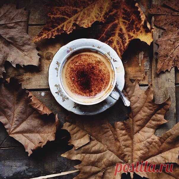 Доброе утро ! Солнечного настроения на весь день !