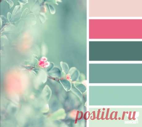 (25) Pinterest