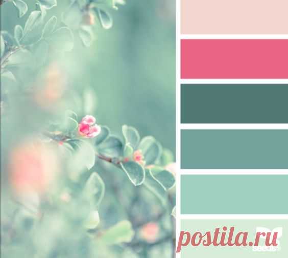 (25) Pinterest