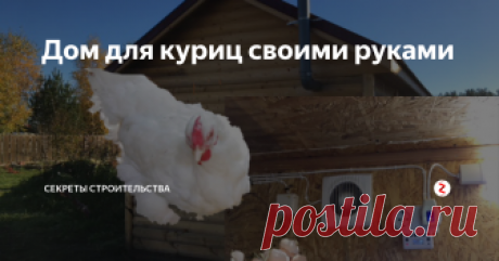 Дом для куриц своими руками Где лучше построить курятник?
Курятник лучше строить на возвышенности участка, в низменности много влаги и птицам будет сложнее гулять. Постройку лучше разместить окнами на южную сторону, а дверь – на восточную. Для курей несушек световой день важен, но в жару стоит окна затенять. Курам слишком низкая и высокая температура вредна. При жаркой погоде куры перестают нестись. Зимой следует утеплить ок