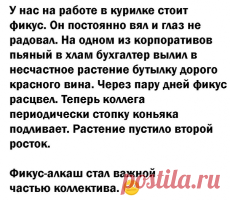 Юмор категории Б