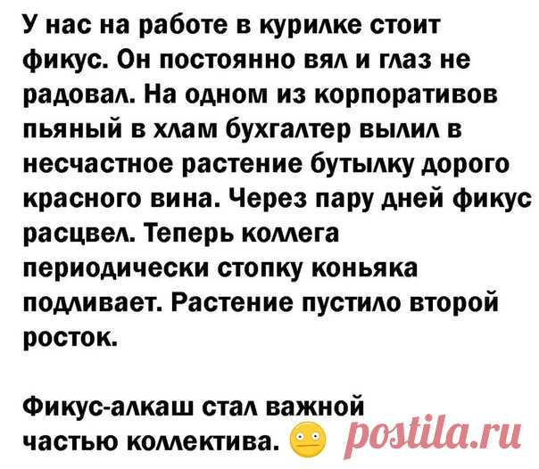 Юмор категории Б