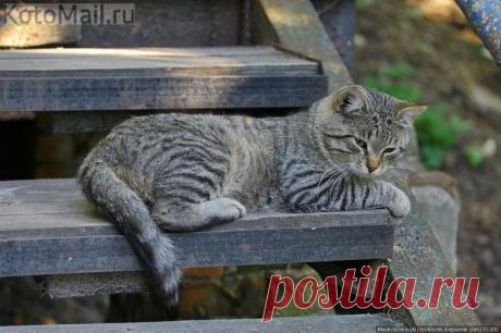 Со мной в доме тепло и уютно!