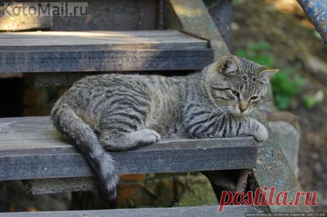 Со мной в доме тепло и уютно!