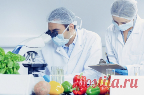 5 продуктов с цинком для защиты от вирусов и инфекций