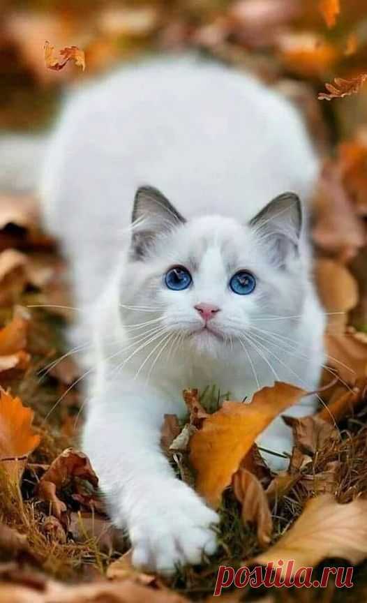 (20+) Carmo Martins | Facebook