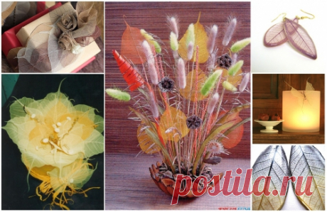 Как скелетировать листья для поделок