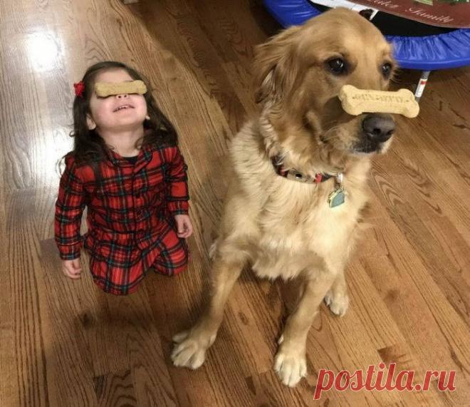 Прикольные картинки (31 фото) - Подборка прикольных и смешных картинок. Хорошего настроения от просмотра подборки картинок.