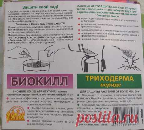 Обработка плодовых деревьев от болезней и вредителей. Мой личный опыт | Дача. Мой опыт | Яндекс Дзен