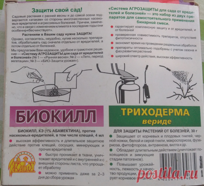Обработка плодовых деревьев от болезней и вредителей. Мой личный опыт | Дача. Мой опыт | Яндекс Дзен