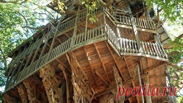 Самый большой дом на дереве Небольшой городок Кросвилль в Тенесси, США, знаменит тем, что здесь находится самый большой в мире дом на дереве. Дом принадлежит министру по имени Горацио Бриджесс и возвышается на 30 метров. Его основной опорой служит старинный дуб высотой в 25 метров, окруженный шестью деревьями...