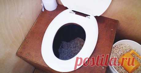 13 DIY Composting Toilet Ideas to Make Going Off-Grid Easier To pick the right DIY composting toilet for you, consider your building skills, budget, and which of our ideas would be the most feasible for you.