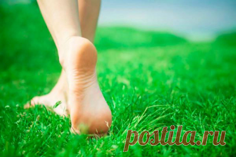 Как эффективно избавиться от трещин на пятках :: Уход за телом :: KakProsto.ru: как просто сделать всё