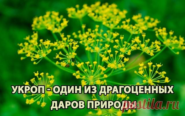 Комментарии к теме