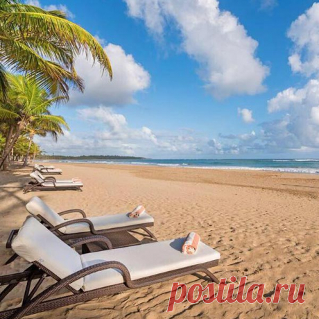 Поиск в Google