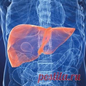 9 сигналов, которые говорят о том, что в печени накопились токсины - МирТесен