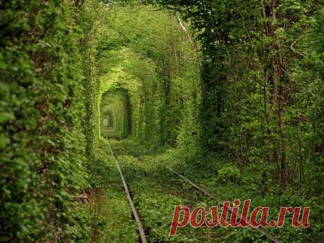 rail-way-tunnel-ukraine-nature.jpg (2560×1920)