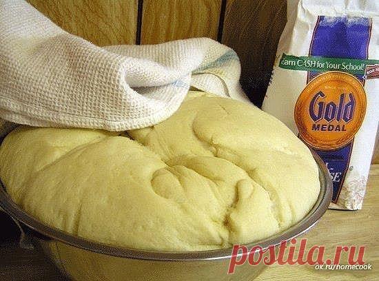 Тесто для пирогов, пирожков, пиццы

Настоятельно советую вам обратить внимание на тесто - оно обалденное! При том, что в нём присутствуют дрожжи, оно не требует никаких долгих расстоек. Замешивается буквально в минуты, очень приятное и эластичное. А в готовом виде мягкое, пористое и невозможно вкусное. Его можно использовать в сладкие и несладкие пироги, пирожки и пиццы. Я с ним ещё пеку домашнюю пиццу, не классический тонкий кружок с парой помидорок, а такую пиццу-пирог с...