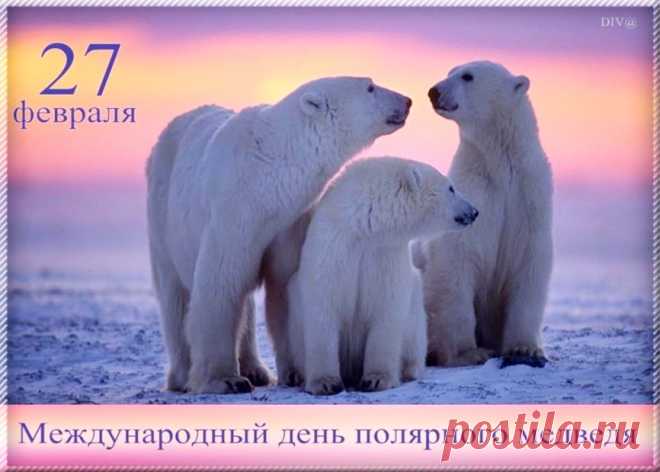 Международный день полярного медведя - интересные факты &raquo; Женский Мир