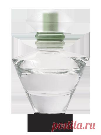 Туалетная вода Journey of Dreams™
29 мл

Цена 1 100,00 руб.

Верхние ноты окутывают легкими цветочными ароматами: искрящийся клементин, розовый личи, фрезия, пион, лотос.
Ноты сердца вдохновляют ароматами цветов и ягод: черная смородина, турецкая роза, мадагаскарская ваниль, австралийское сандаловое дерево.
Нижние ноты очаровывают теплыми и бархатными ароматами: белая амбра, мускус, лепестки флер д’оранжа.