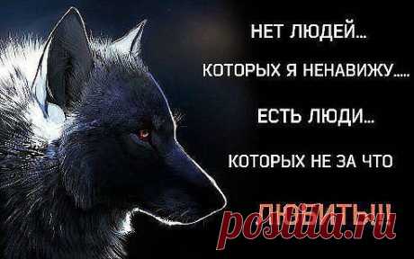 Интересные новости